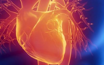 Reconocer una parada cardiorrespiratoria y aplicar a tiempo la RCP puede salvar vidas